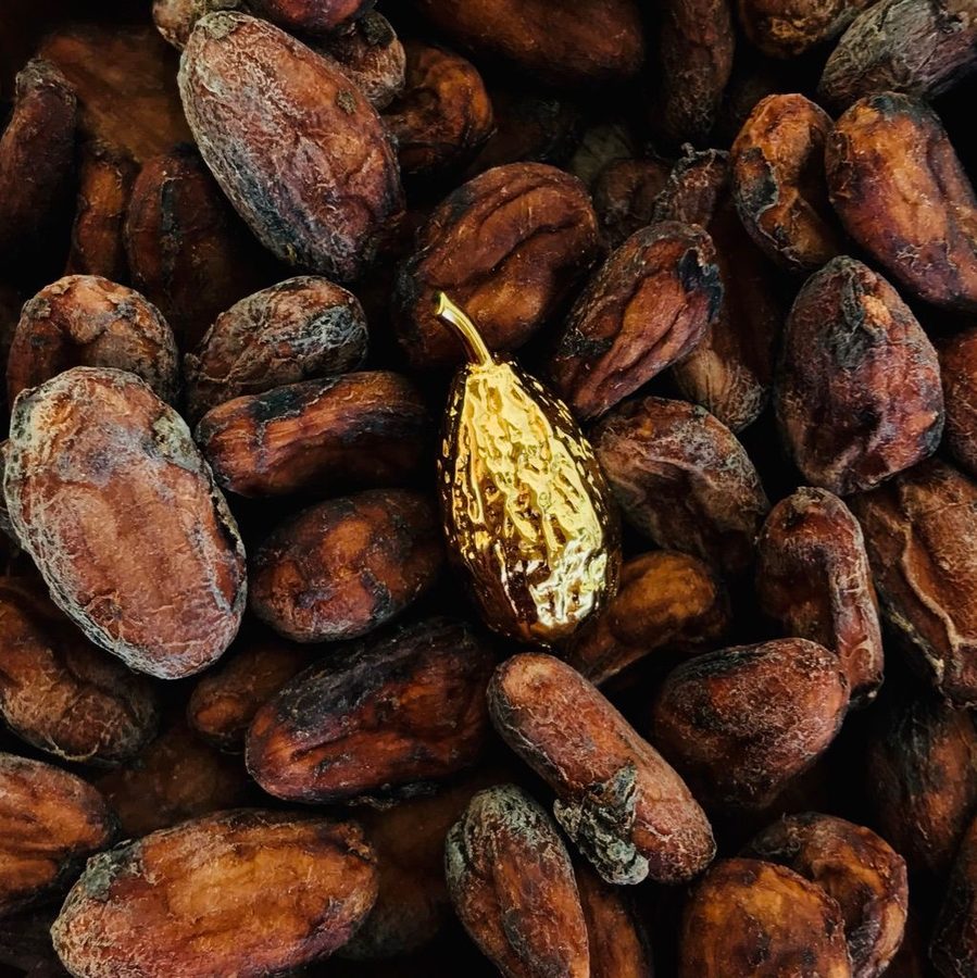 Granos de cacao con detalle dorado