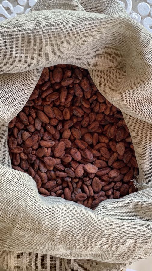 Costal de cacao en grano fermentado y seco