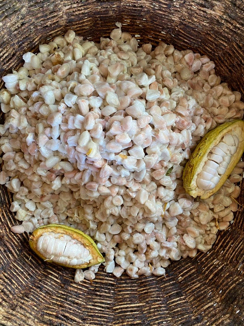 Quiebre y separación de grano